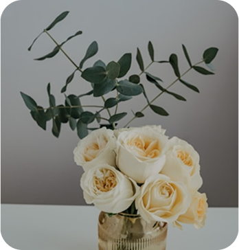 White Rose